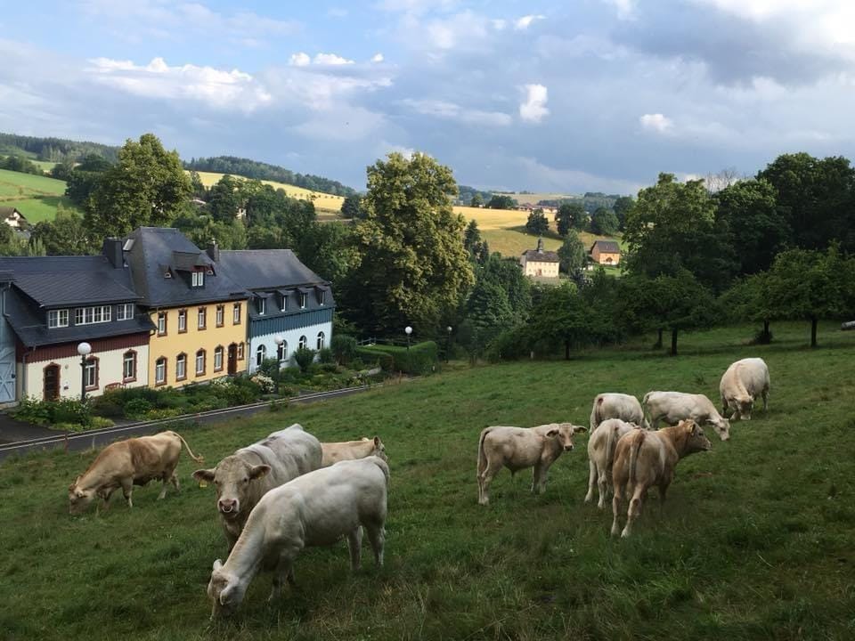 Umgebung & Eindrücke – Waldhaus im Erzgebirge (Bild 1 von 6)