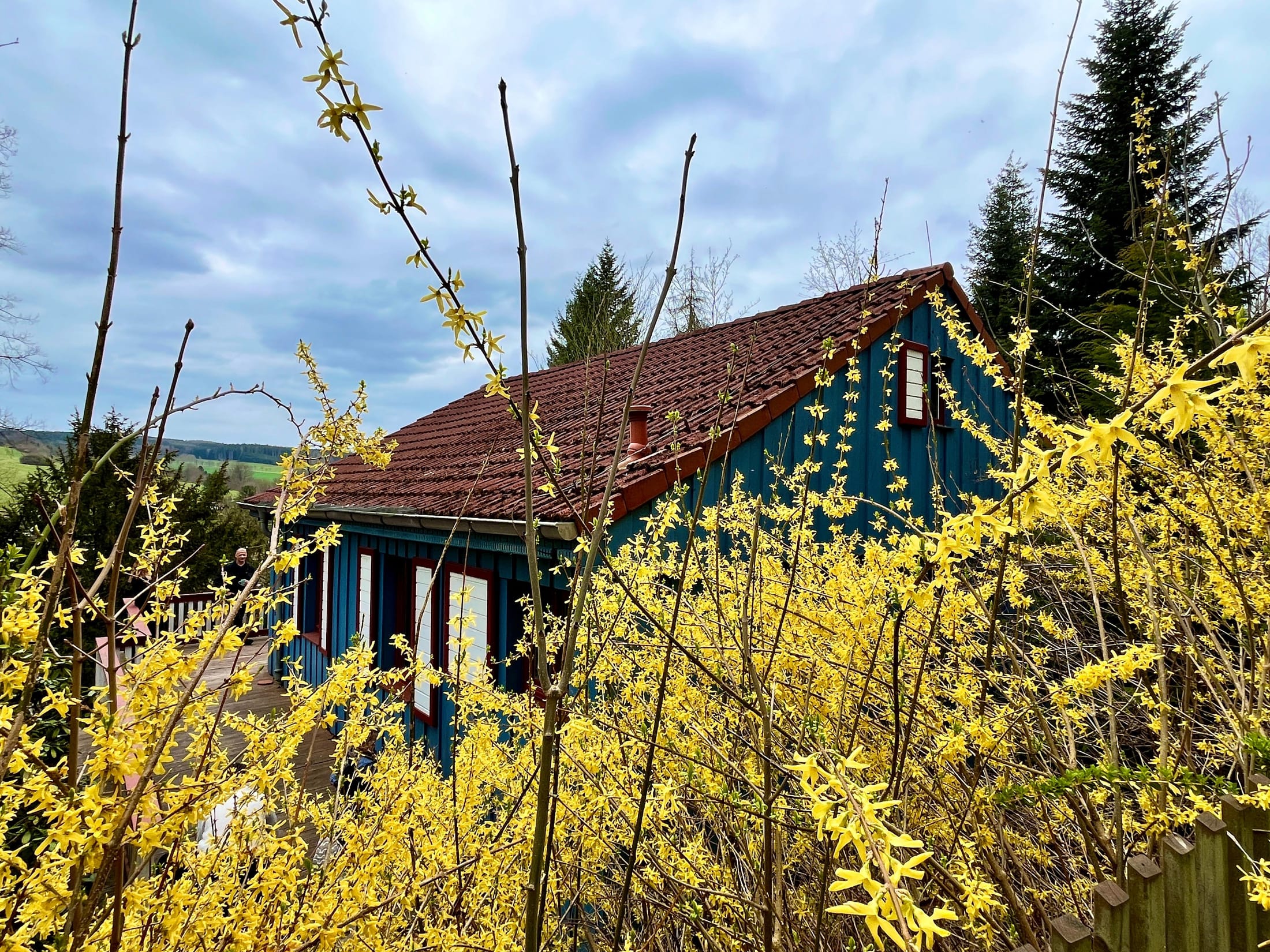 Umgebung & Eindrücke – Waldhaus im Erzgebirge (Bild 3 von 6)