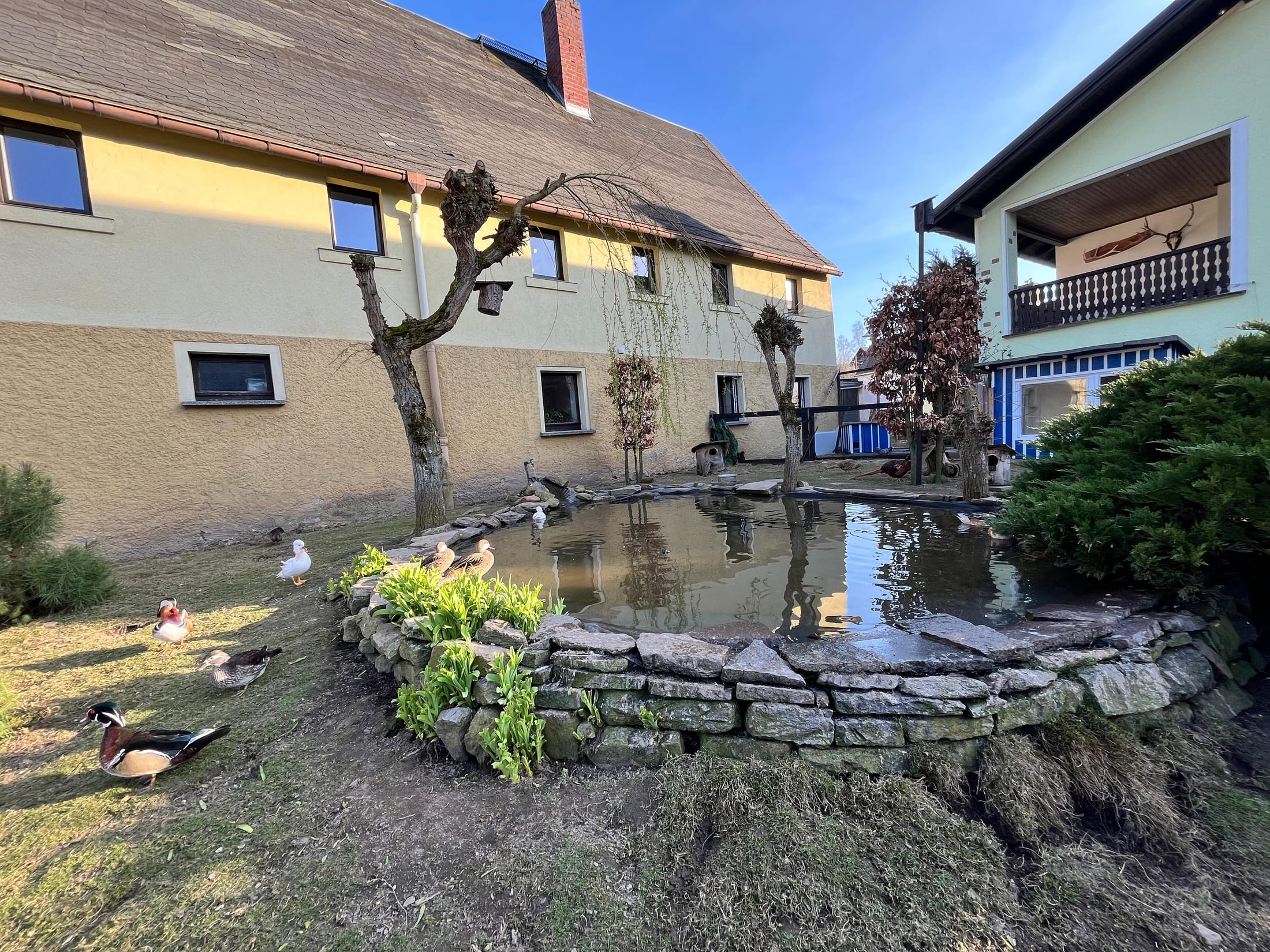 Umgebung & Eindrücke – Waldhaus im Erzgebirge (Bild 6 von 6)